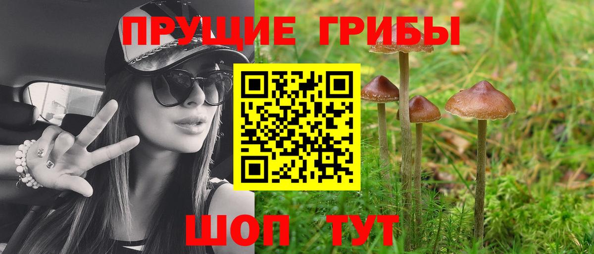 Псилоцибиновые грибы мицелий Спасск-Дальний